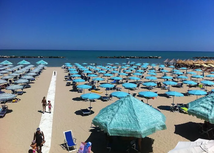 Katia オルトーナ